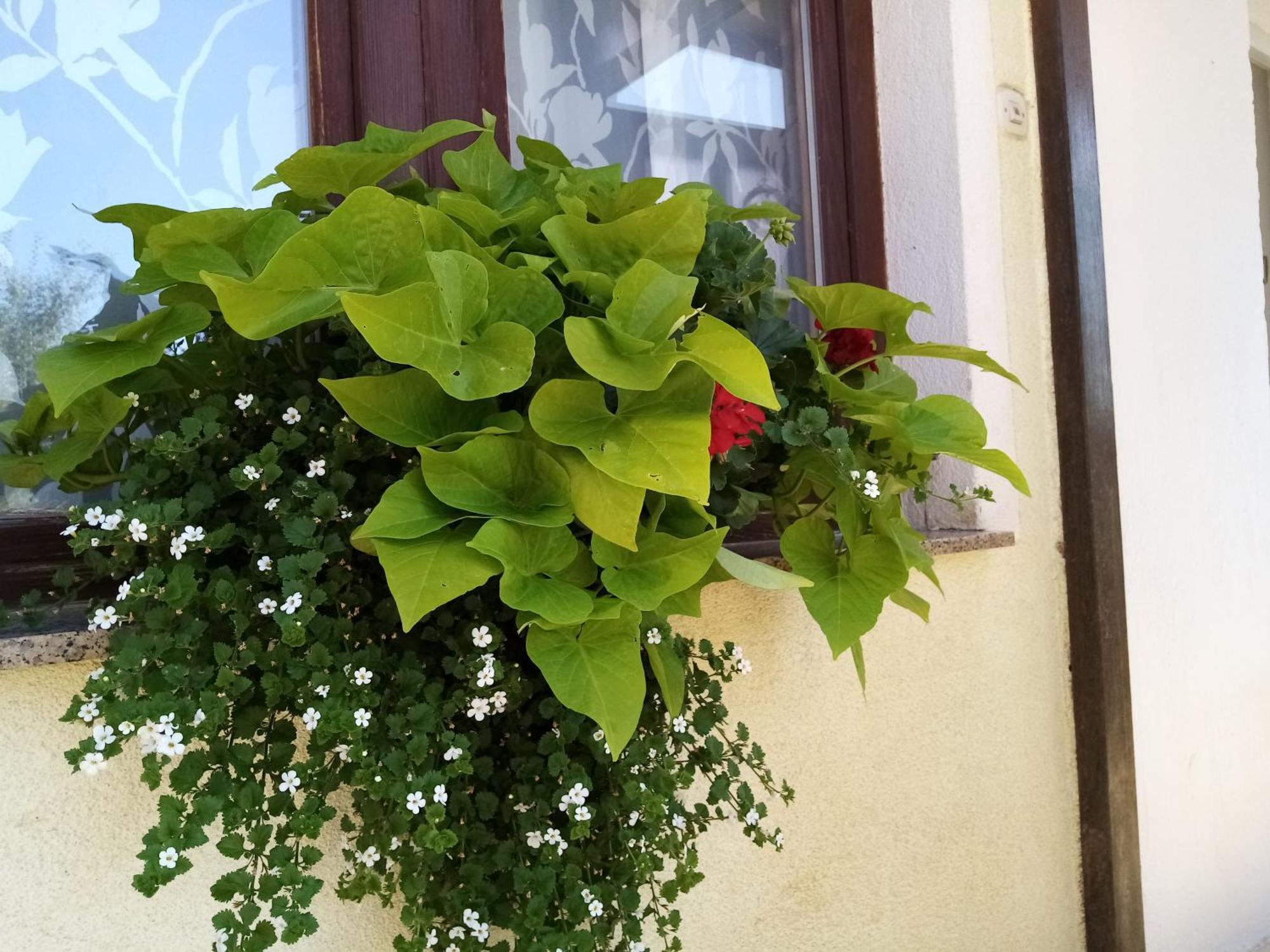 House Josipa Hotel Rakovica Ngoại thất bức ảnh